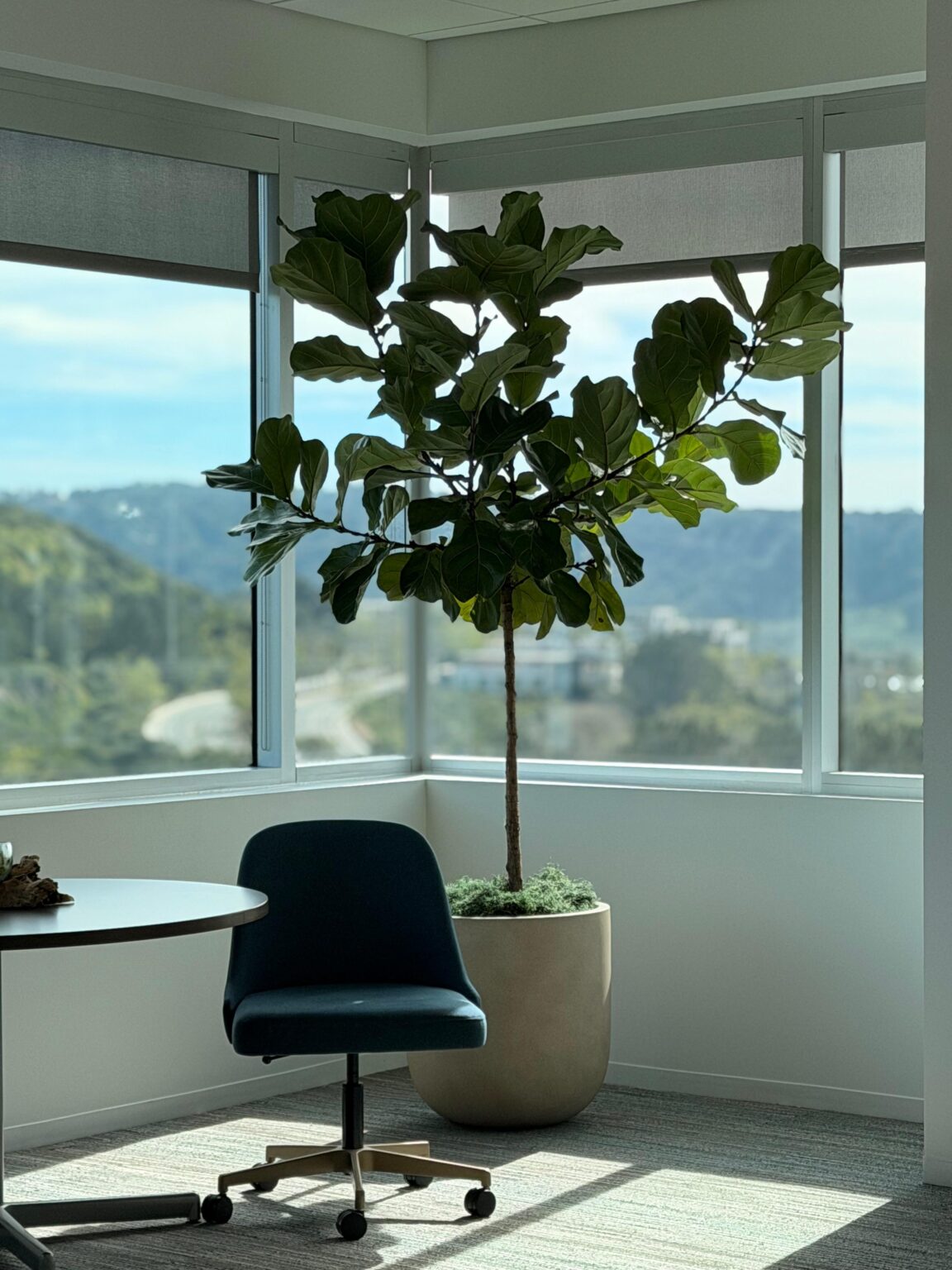 office plant services